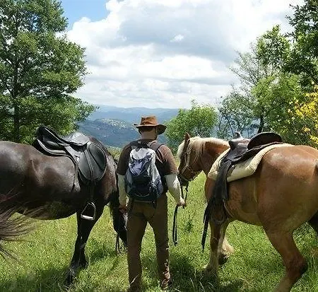 Fattoria I Ciliegi